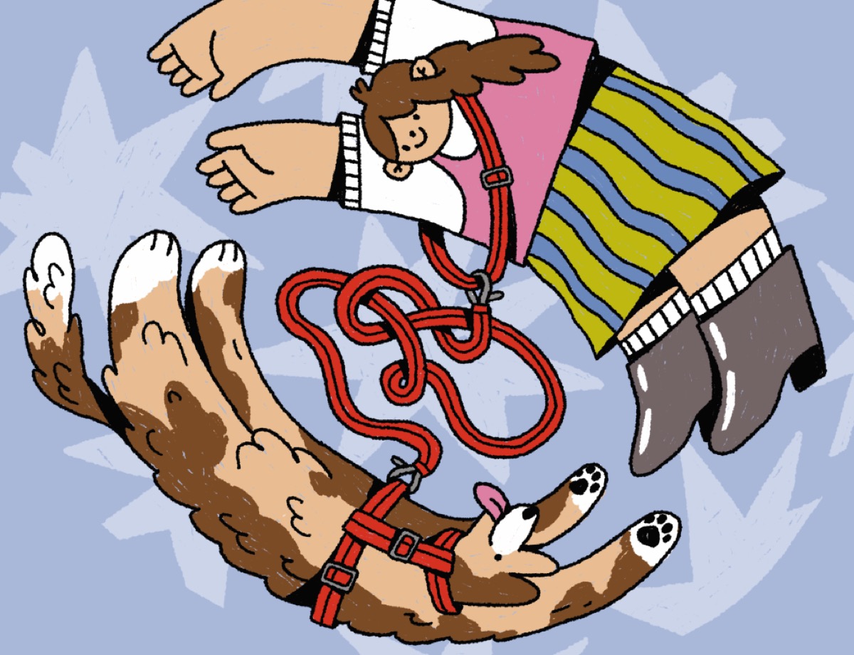 Puzzle illustration for Animal Shelter